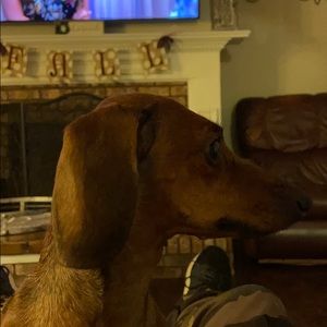 Meet your Posher, Marcus